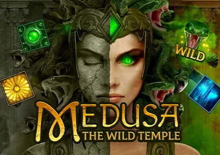 Medusa the Wild Temple game cover