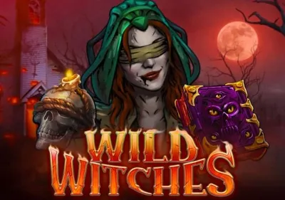 Wild Witches (1) game cover